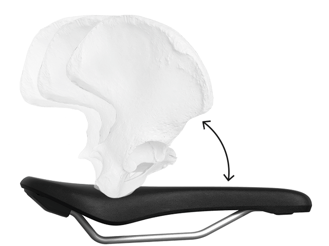 Position of a female pelvis on a standardized bicycle saddle.